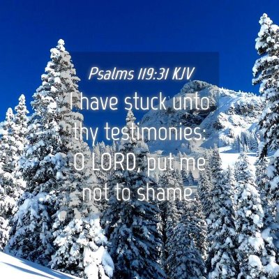 Picture 04 - Psalms 119:31 KJV - I have stuck unto thy testimonies: O LORD, put me - Bible Verse Picture