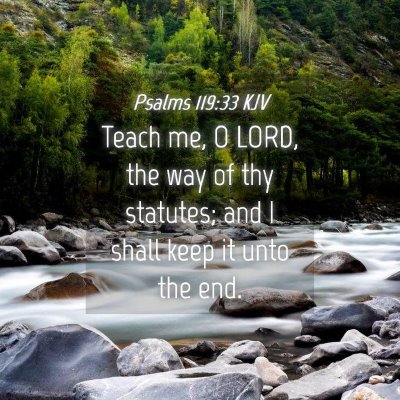 Picture 04 - Psalms 119:33 KJV - Teach me, O LORD, the way of thy statutes; and I - Bible Verse Picture