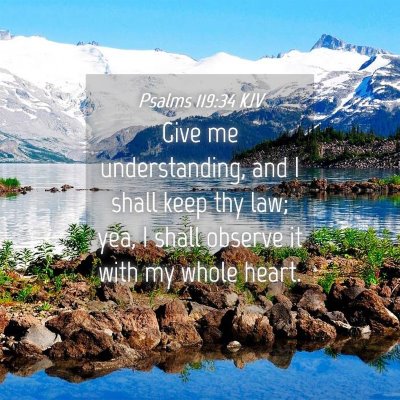 Picture 04 - Psalms 119:34 KJV - Give me understanding, and I shall keep thy law; - Bible Verse Picture