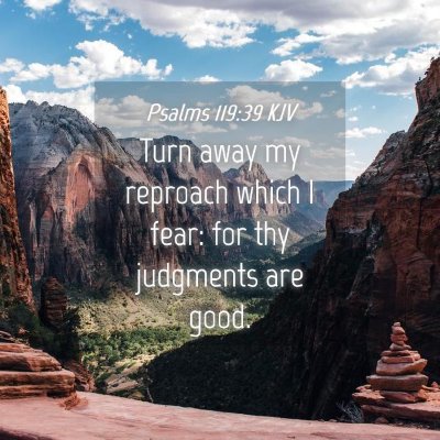 Picture 04 - Psalms 119:39 KJV - Turn away my reproach which I fear: for thy - Bible Verse Picture