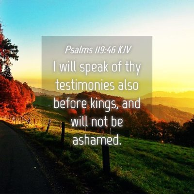 Picture 04 - Psalms 119:46 KJV - I will speak of thy testimonies also before - Bible Verse Picture