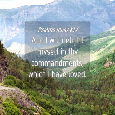 Picture 04 - Psalms 119:47 KJV - And I will delight myself in thy commandments, - Bible Verse Picture
