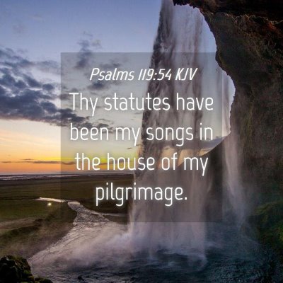 Picture 04 - Psalms 119:54 KJV - Thy statutes have been my songs in the house of - Bible Verse Picture