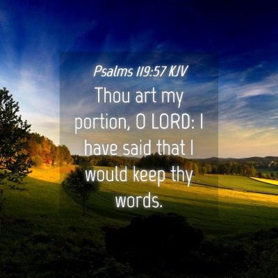Picture 04 - Psalms 119:57 KJV - Thou art my portion, O LORD: I have said that I - Bible Verse Picture
