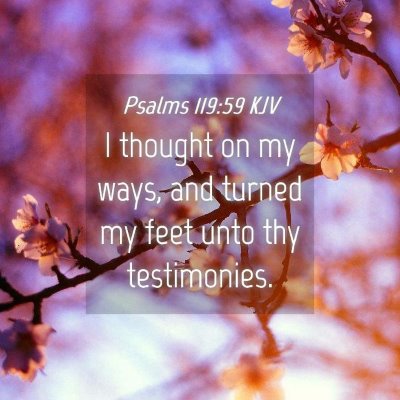 Picture 04 - Psalms 119:59 KJV - I thought on my ways, and turned my feet unto thy - Bible Verse Picture