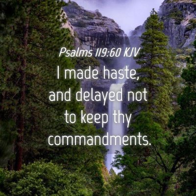 Picture 04 - Psalms 119:60 KJV - I made haste, and delayed not to keep thy - Bible Verse Picture