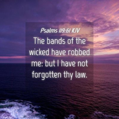 Picture 04 - Psalms 119:61 KJV - The bands of the wicked have robbed me: but I - Bible Verse Picture