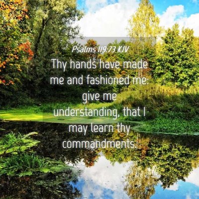 Picture 04 - Psalms 119:73 KJV - Thy hands have made me and fashioned me: give me - Bible Verse Picture