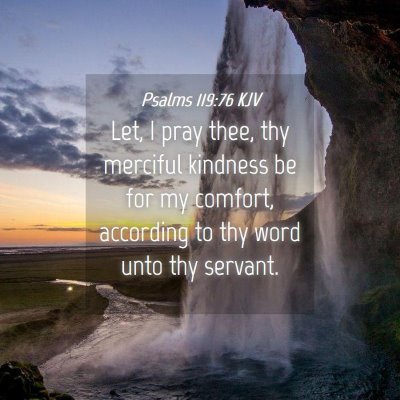 Picture 04 - Psalms 119:76 KJV - Let, I pray thee, thy merciful kindness be for my - Bible Verse Picture