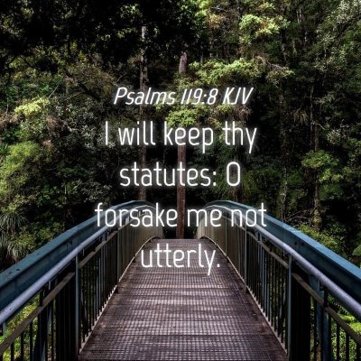 Picture 04 - Psalms 119:8 KJV - I will keep thy statutes: O forsake me not - Bible Verse Picture