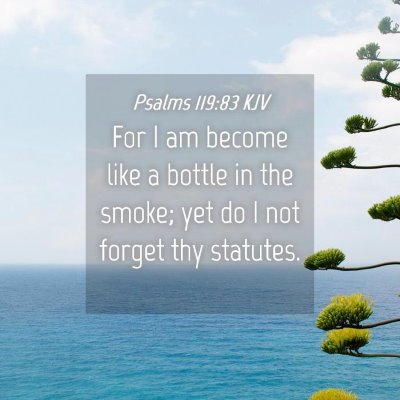 Picture 04 - Psalms 119:83 KJV - For I am become like a bottle in the smoke; yet - Bible Verse Picture