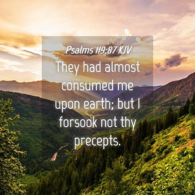Picture 04 - Psalms 119:87 KJV - They had almost consumed me upon earth; but I - Bible Verse Picture