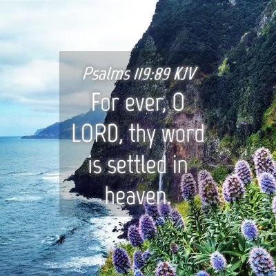 Picture 04 - Psalms 119:89 KJV - For ever, O LORD, thy word is settled in - Bible Verse Picture