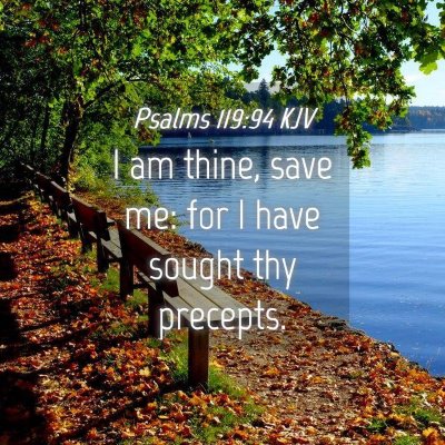 Picture 04 - Psalms 119:94 KJV - I am thine, save me: for I have sought thy - Bible Verse Picture