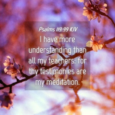 Picture 04 - Psalms 119:99 KJV - I have more understanding than all my teachers: - Bible Verse Picture