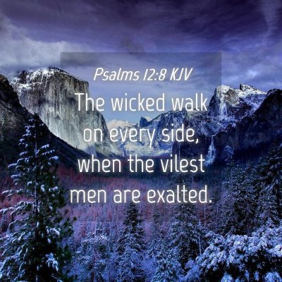 Picture 04 - Psalms 12:8 KJV - The wicked walk on every side, when the vilest - Bible Verse Picture
