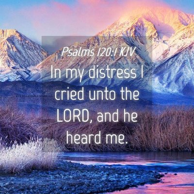 Picture 04 - Psalms 120:1 KJV - In my distress I cried unto the LORD, and he - Bible Verse Picture