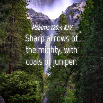 Picture 04 - Psalms 120:4 KJV - Sharp arrows of the mighty, with coals of - Bible Verse Picture