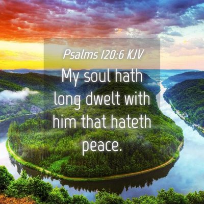 Picture 04 - Psalms 120:6 KJV - My soul hath long dwelt with him that hateth - Bible Verse Picture