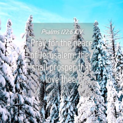 Picture 04 - Psalms 122:6 KJV - Pray for the peace of Jerusalem: they shall - Bible Verse Picture