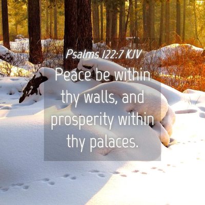 Picture 04 - Psalms 122:7 KJV - Peace be within thy walls, and prosperity within - Bible Verse Picture