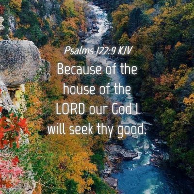 Picture 04 - Psalms 122:9 KJV - Because of the house of the LORD our God I will - Bible Verse Picture