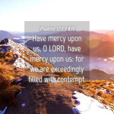 Picture 04 - Psalms 123:3 KJV - Have mercy upon us, O LORD, have mercy upon us: - Bible Verse Picture