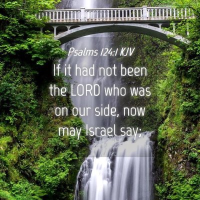 Picture 04 - Psalms 124:1 KJV - If it had not been the LORD who was on our side, - Bible Verse Picture