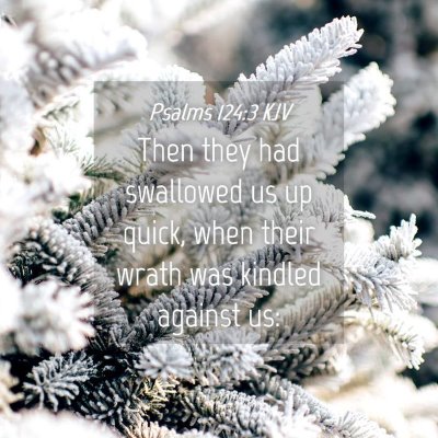 Picture 04 - Psalms 124:3 KJV - Then they had swallowed us up quick, when their - Bible Verse Picture