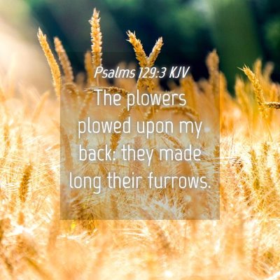 Picture 04 - Psalms 129:3 KJV - The plowers plowed upon my back: they made long - Bible Verse Picture