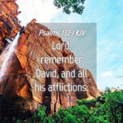 Picture 04 - Psalms 132:1 KJV - Lord, remember David, and all his - Bible Verse Picture