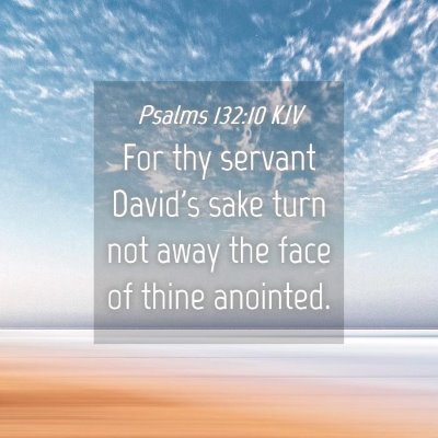 Picture 04 - Psalms 132:10 KJV - For thy servant David's sake turn not away the - Bible Verse Picture
