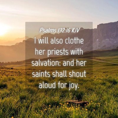 Picture 04 - Psalms 132:16 KJV - I will also clothe her priests with salvation: - Bible Verse Picture