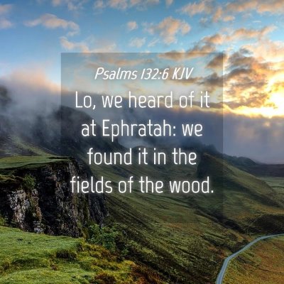 Picture 04 - Psalms 132:6 KJV - Lo, we heard of it at Ephratah: we found it in - Bible Verse Picture