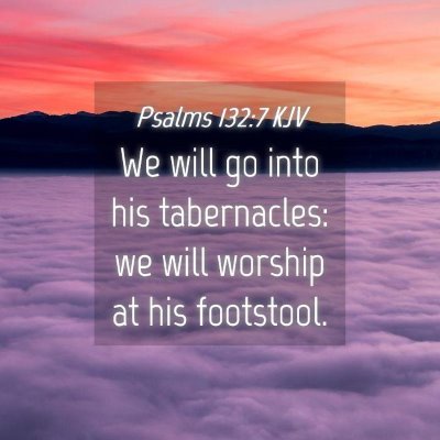 Picture 04 - Psalms 132:7 KJV - We will go into his tabernacles: we will worship - Bible Verse Picture