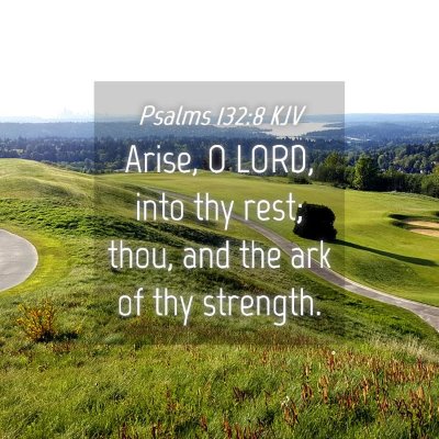 Picture 04 - Psalms 132:8 KJV - Arise, O LORD, into thy rest; thou, and the ark - Bible Verse Picture