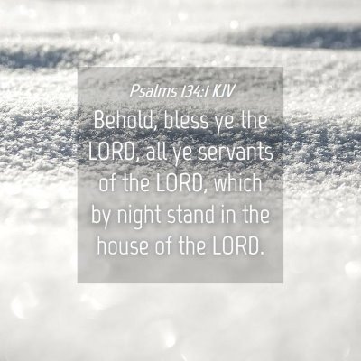 Picture 04 - Psalms 134:1 KJV - Behold, bless ye the LORD, all ye servants of the - Bible Verse Picture