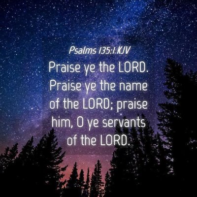 Picture 04 - Psalms 135:1 KJV - Praise ye the LORD. Praise ye the name of the - Bible Verse Picture