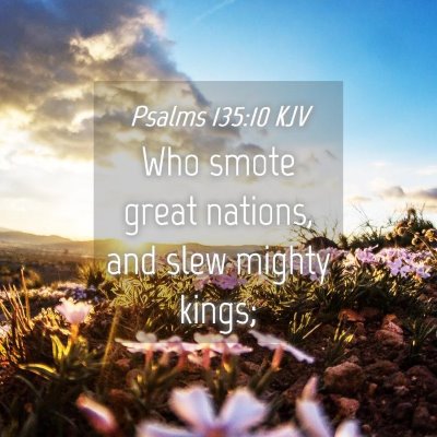 Picture 04 - Psalms 135:10 KJV - Who smote great nations, and slew mighty - Bible Verse Picture