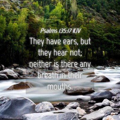 Picture 04 - Psalms 135:17 KJV - They have ears, but they hear not; neither is - Bible Verse Picture