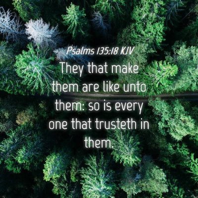 Picture 04 - Psalms 135:18 KJV - They that make them are like unto them: so is - Bible Verse Picture