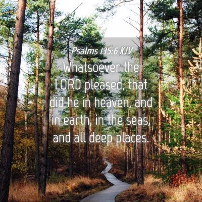 Picture 04 - Psalms 135:6 KJV - Whatsoever the LORD pleased, that did he in - Bible Verse Picture