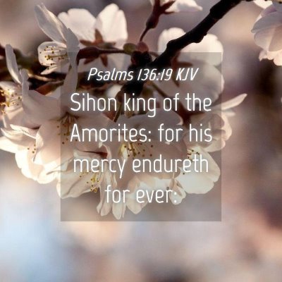Picture 04 - Psalms 136:19 KJV - Sihon king of the Amorites: for his mercy - Bible Verse Picture