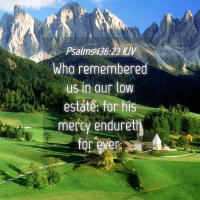 Picture 04 - Psalms 136:23 KJV - Who remembered us in our low estate: for his - Bible Verse Picture