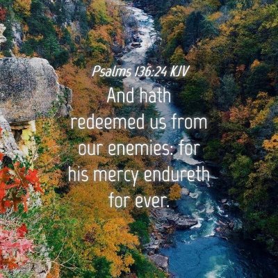 Picture 04 - Psalms 136:24 KJV - And hath redeemed us from our enemies: for his - Bible Verse Picture