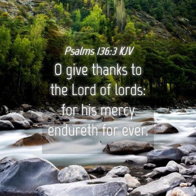 Picture 04 - Psalms 136:3 KJV - O give thanks to the Lord of lords: for his mercy - Bible Verse Picture