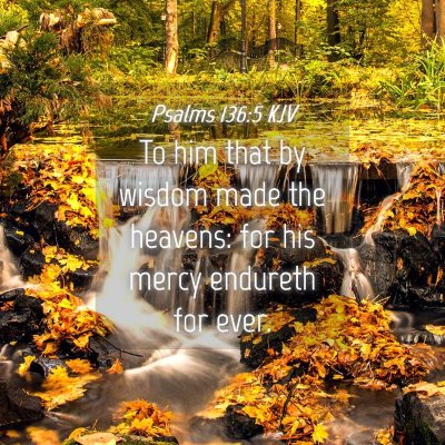 Picture 04 - Psalms 136:5 KJV - To him that by wisdom made the heavens: for his - Bible Verse Picture