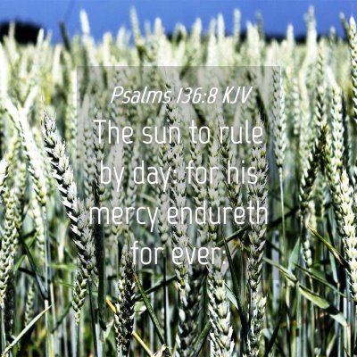 Picture 04 - Psalms 136:8 KJV - The sun to rule by day: for his mercy endureth - Bible Verse Picture