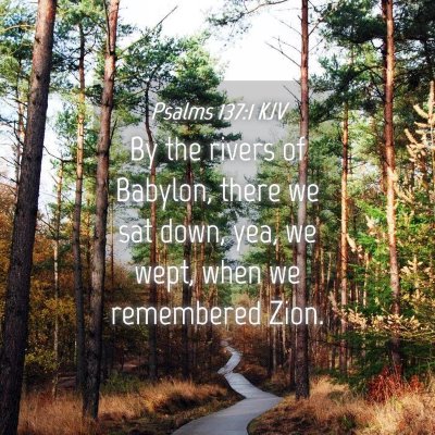 Picture 04 - Psalms 137:1 KJV - By the rivers of Babylon, there we sat down, yea, - Bible Verse Picture