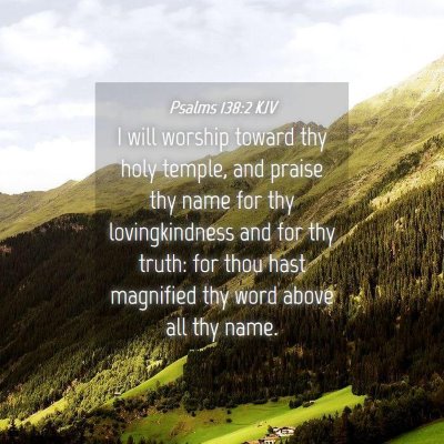 Picture 04 - Psalms 138:2 KJV - I will worship toward thy holy temple, and praise - Bible Verse Picture